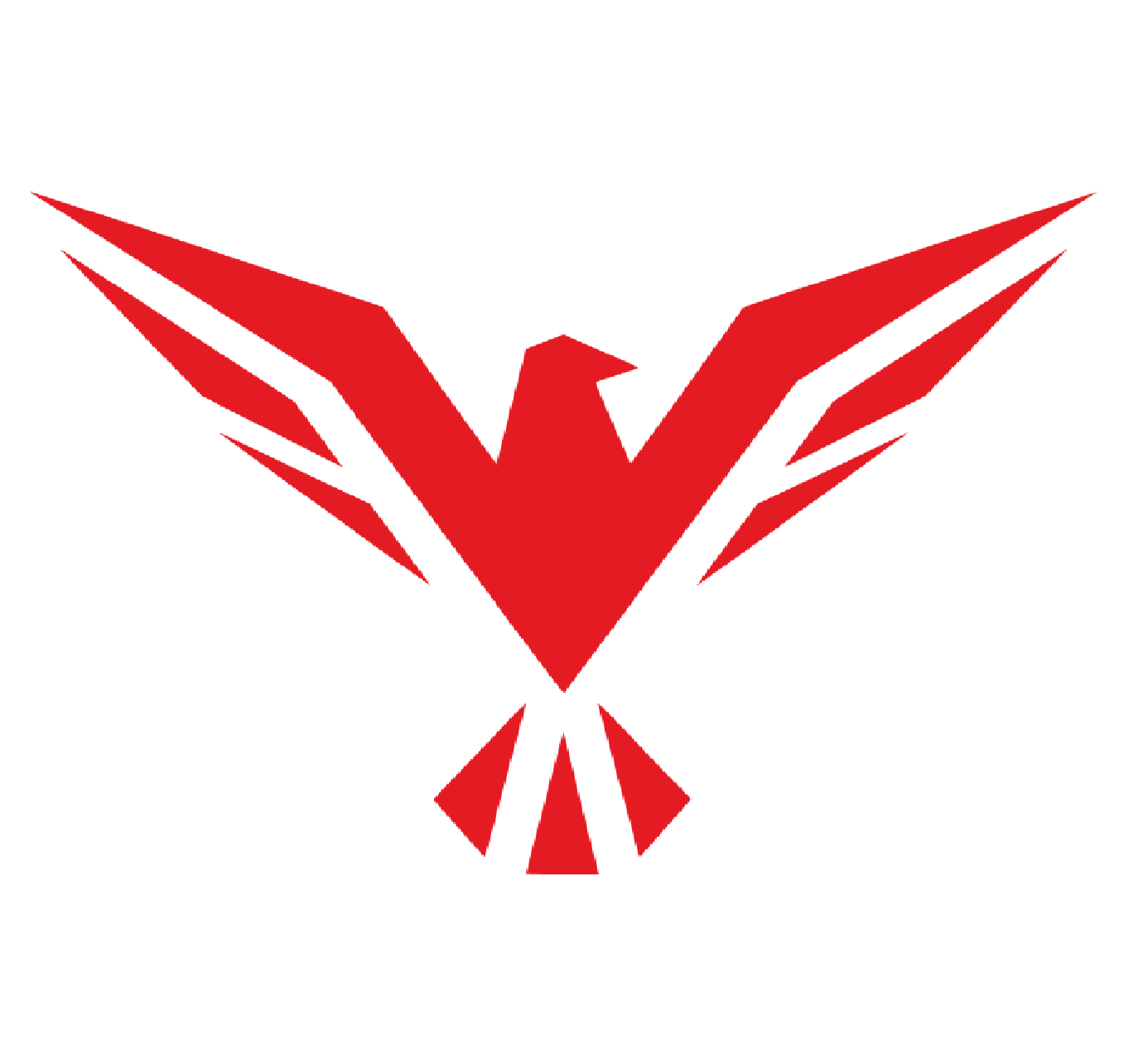 PHNX Technologies Logo